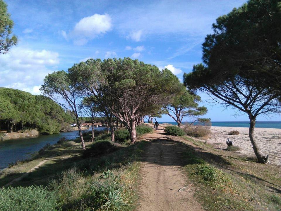 La Ginestra Guest House Orosei Exterior photo